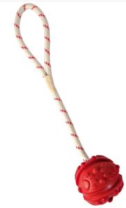 Aqua Toy balle sur corde et flottante TRIXIE En caoutchouc naturel, 35 cm