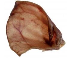 BUBIMEX Oreille de porc pour chien 100% naturelle