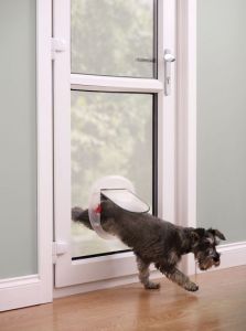 Chatière pour gros chat et petit chien Nacre PETSAFE
