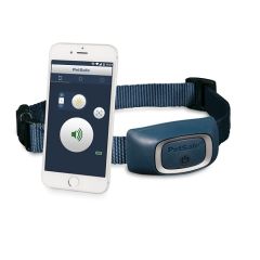 Système de dressage Bluetooth Smart Dog pour chien  PETSAFE