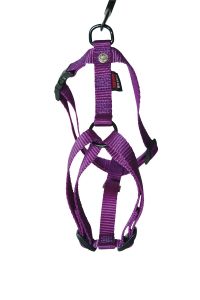 Harnais nylon réglable mauve pour chien MARTIN SELLIER