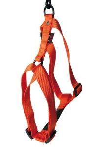 Harnais nylon réglable orange pour chien MARTIN SELLIER