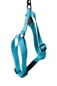 Harnais nylon réglable turquoise pour chien MARTIN SELLIER