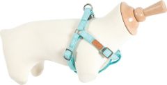 Harnais réglable Imao Picca turquoise pour chien ZOLUX