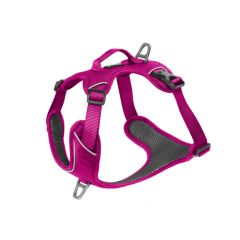 Harnais rose momentum anti-traction pour chien KYFLIE