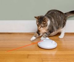 Jouet laser Zip pour chat Frolicat PETSAFE