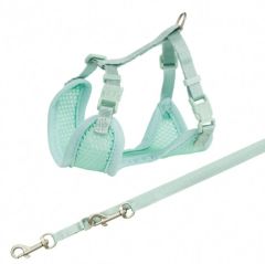 Harnais souple Junior avec laisse menthe pour chiot TRIXIE 26–34 cm/10 mm 