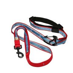 Laisse chien main libre Quantum Rouge KURGO