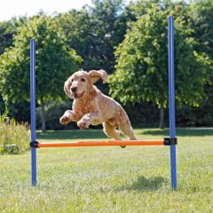 Obstacle saut de haie d'agility pour chien TRIXIE