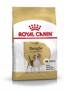 ROYAL CANIN Croquettes pour chien Beagle Adult Race Beagle