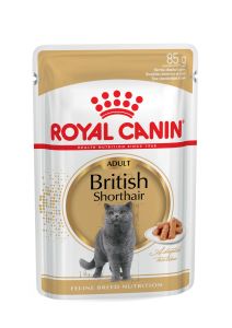 ROYAL CANIN British Shorthair Adult.