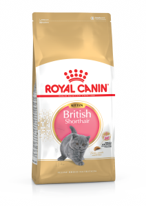 ROYAL CANIN Croquettes chaton British Shorthair Kitten