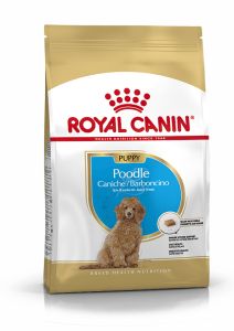 ROYAL CANIN Croquettes Chiot Caniche Junior