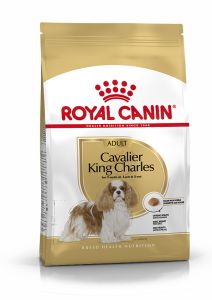 ROYAL CANIN Croquettes chien Cavalier King Charles Adult