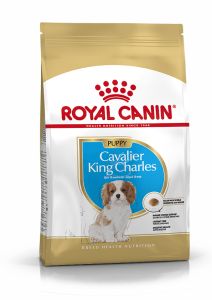 ROYAL CANIN Croquettes chiot Cavalier King Charles Junior  jusqu'à 10 mois