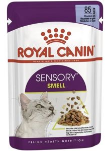 ROYAL CANIN SENSORY SMELL pâtées pour chat en gelée