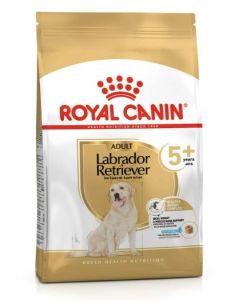 ROYAL CANIN LABRADOR croquettes pour chien + de 5 ans