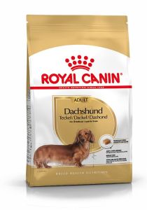 ROYAL CANIN  Croquettes chien Teckel Adult 