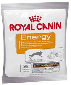 ROYAL CANIN Energy friandise pour chien sportif 50 g