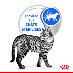 ROYAL CANIN Indoor 7+ Bouchées en sauce pour chat d’intérieur de 7 ans et +