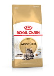 ROYAL CANIN Croquettes chat Maine Coon
