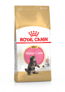 https://www.terranimo.fr/media/catalog/product/cache/a8c57c7f80e7ab351c8d7fdf3fee52b8/r/o/royal_canin_main_coon_junior_croquettes_chaton_e789.png