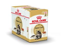 ROYAL CANIN Maine Coon Adult.