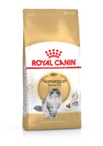 ROYAL CANIN Croquettes chat CANIN Norwegian Forest Cat