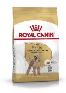 ROYAL CANIN Croquettes Chien Caniche Adulte
