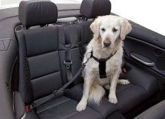 Harnais chien avec sangle pour le transport en voiture KERBL