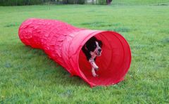 Tunnel Agility pour stimuler le chien KERBL