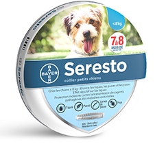 Collier antipuces pour chien Collier antipuces pour chien