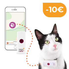 Collier GPS chat Collier GPS chat