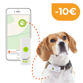 Collier GPS chien Collier GPS chien