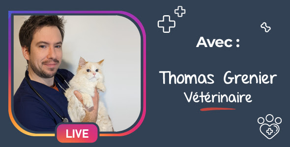 hygiene-bucco-dentaire-chien-chat hygiene-bucco-dentaire-chien-chat