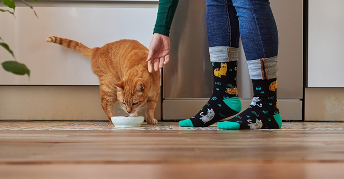 Quelles sont les meilleures croquettes pour chat stérilisé ?