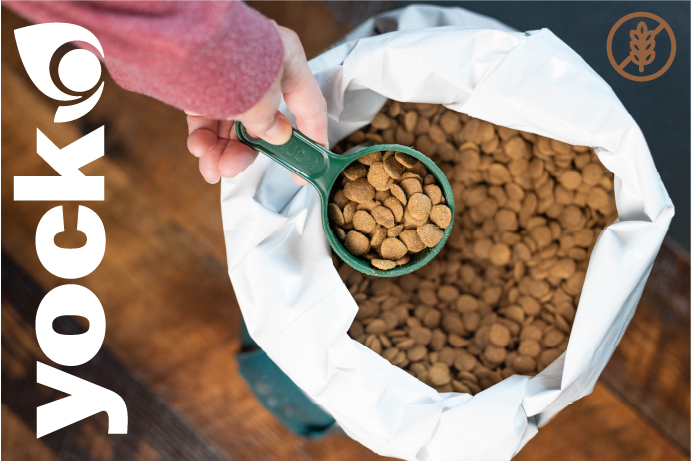Quelles sont les meilleures croquettes pour chien sans céréales ?