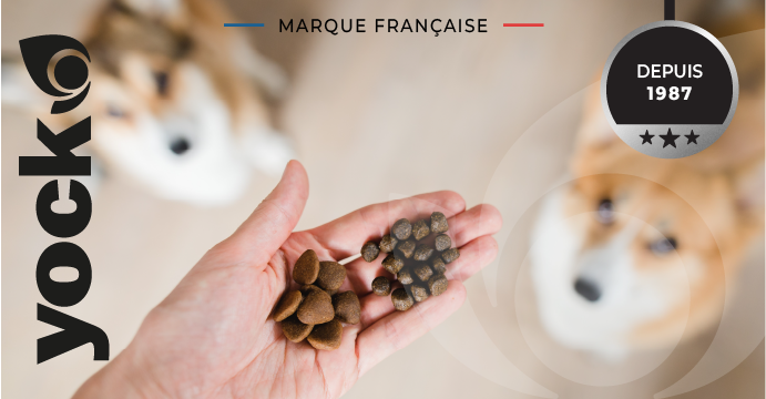 Comment sont fabriquées les croquettes YOCK pour chien et chat ?