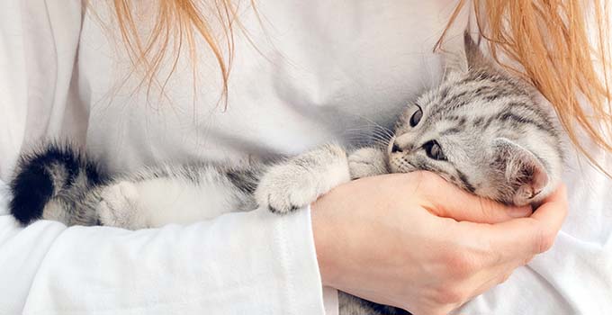 Comment Appeler Mon Chien Ou Mon Chat En T En 22
