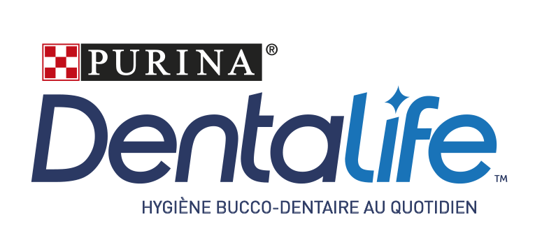 DENTALIFE