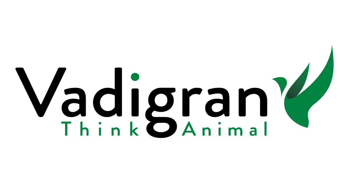 VADIGRAN VADIGRAN