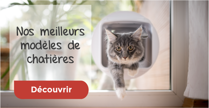 Trouvez la meilleure chatière pour votre chat Trouvez la meilleure chatière pour votre chat