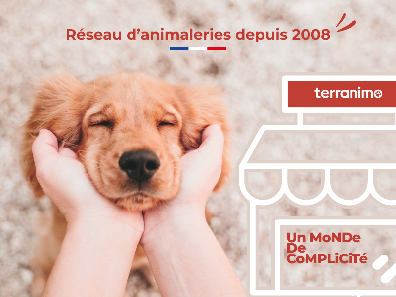 Animalerie Terranimo Frejus Animalerie Terranimo Frejus