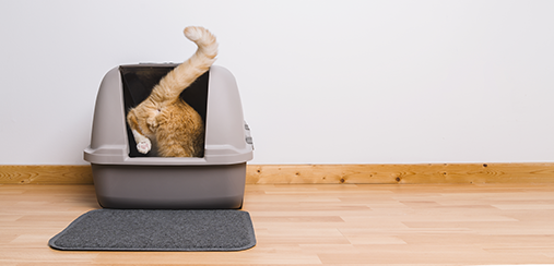 Tapis litière chat Tapis litière chat