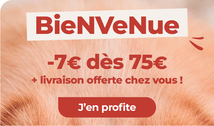 chat prix minis