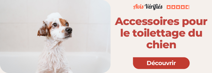 Accessoires pour le toilettage du chien