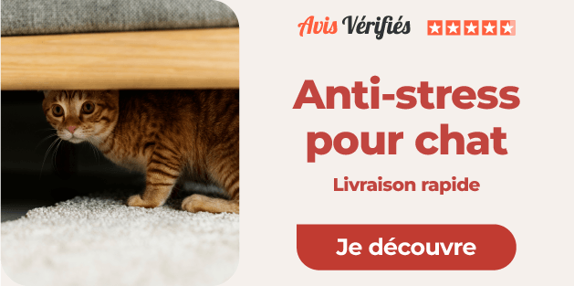 Anti-stress pour chats