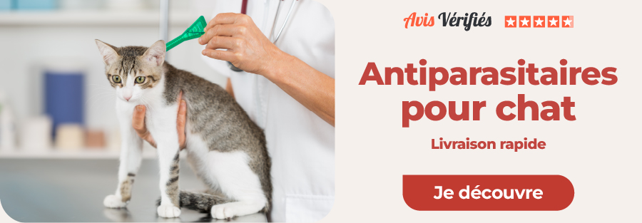 Antiparasitaires pour chat