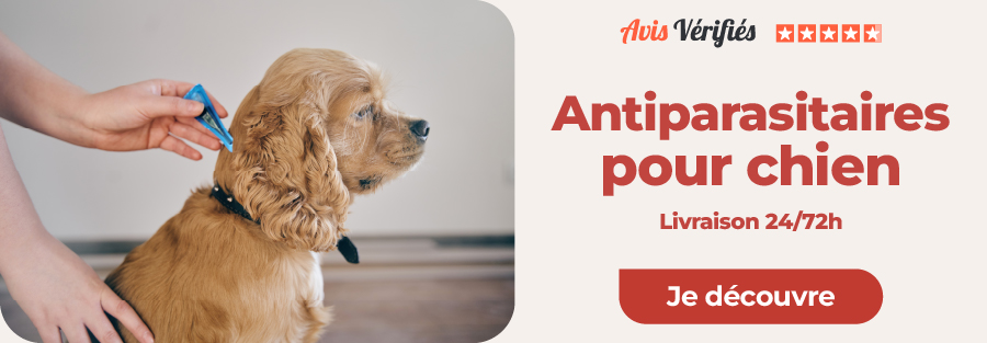 anti puces pour chiens