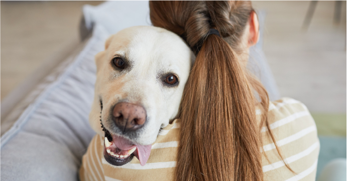 maitre et son chien qui se font un câlin avant de partir au travail